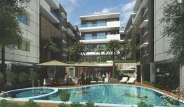 Featured Image of Arna Meadows