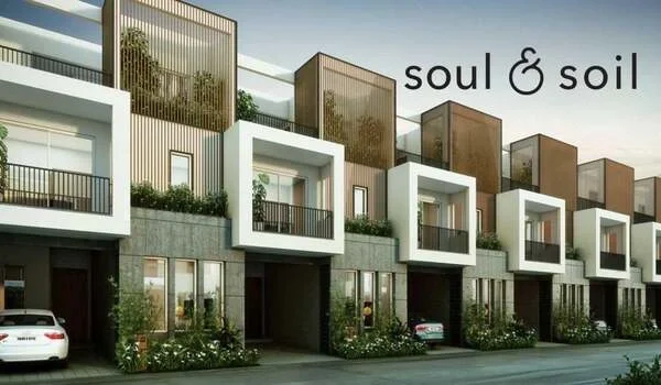 Featured Image of Assetz Soul Soil