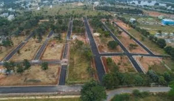 Featured Image of Bluejay Atmosphere II