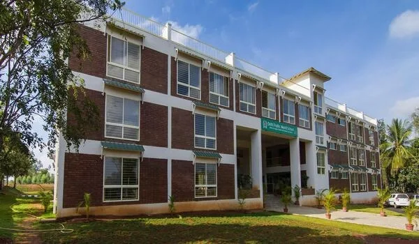 Featured Image of Bluejay Atmosphere