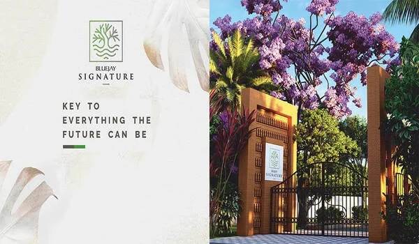 Featured Image of Bluejay Signature