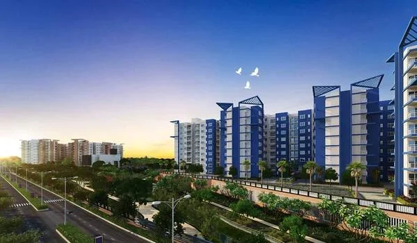 Featured Image of Brigade Meadows