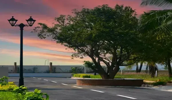 Featured Image of Chartered Windsong Phase 2