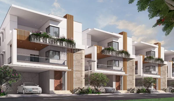 Featured Image of Dsr Elixir