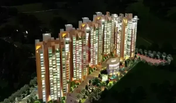 Featured Image of Gm Infinite Daffodils