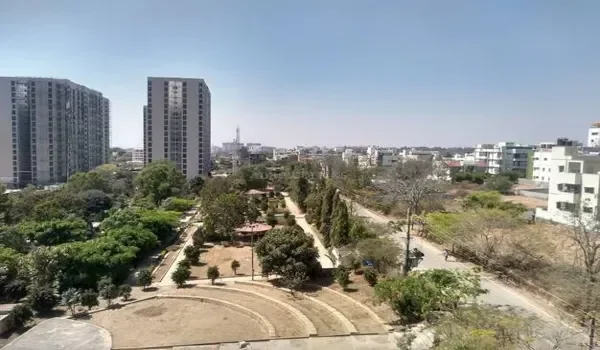 Featured Image of Kns Amora