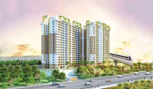 Featured Image of Purva Sunflower