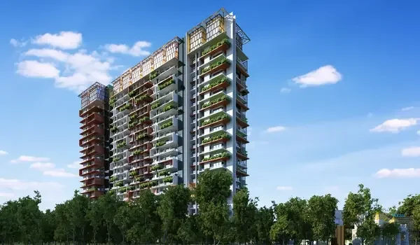 Featured Image of Rrbc Picasso