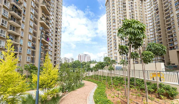 Featured Image of Sanjeevini Meadows