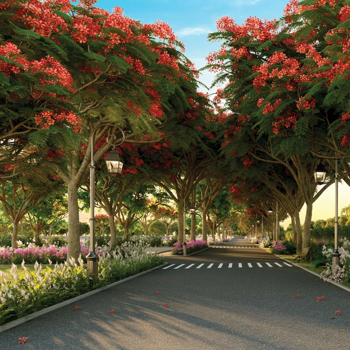 Featured Image of Sobha Chartered Windsong Phase 2