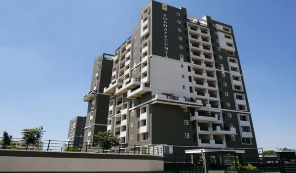 Featured Image of Sobha Petunia