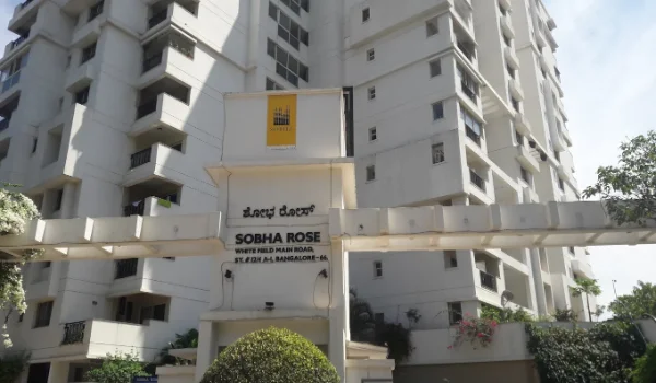 Featured Image of Sobha Rose