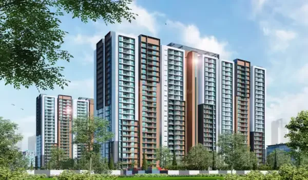 Featured Image of Trifecta Vanto